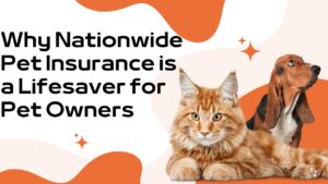 Why Nationwide Pet Insurance is a Lifesaver for Pet Owners